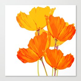 Orange and Yellow Poppies On A White Background #decor #society6 #buyart Canvas Print