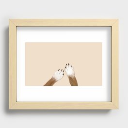 paws Recessed Framed Print