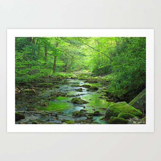 Rocky Forest Creek Art Print