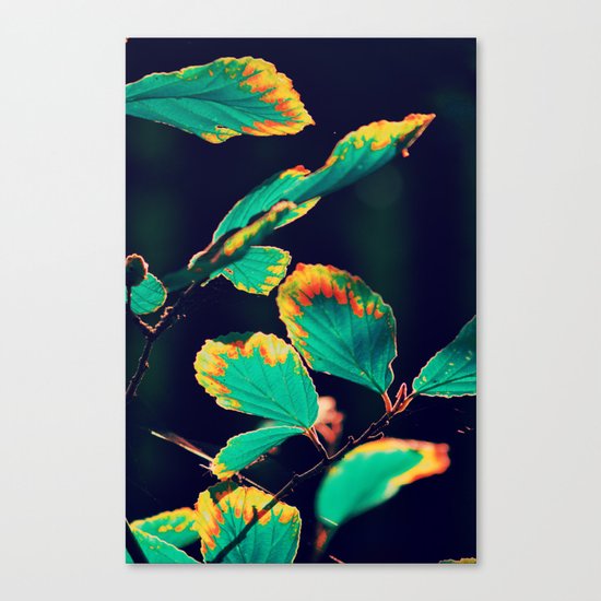 #185 Canvas Print