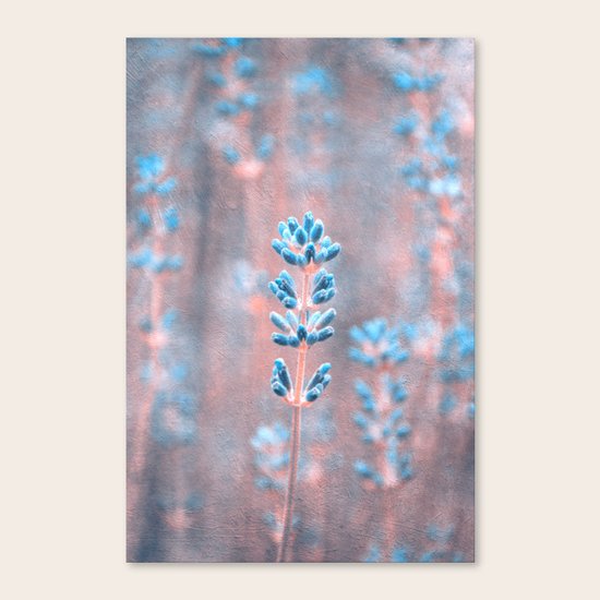 summer Canvas Print