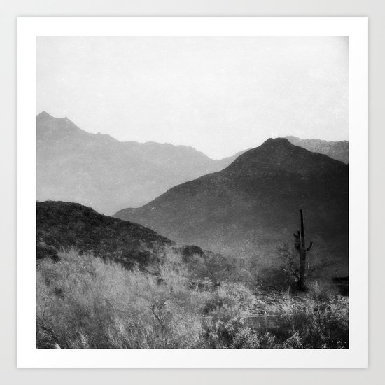 Arizona Art Print