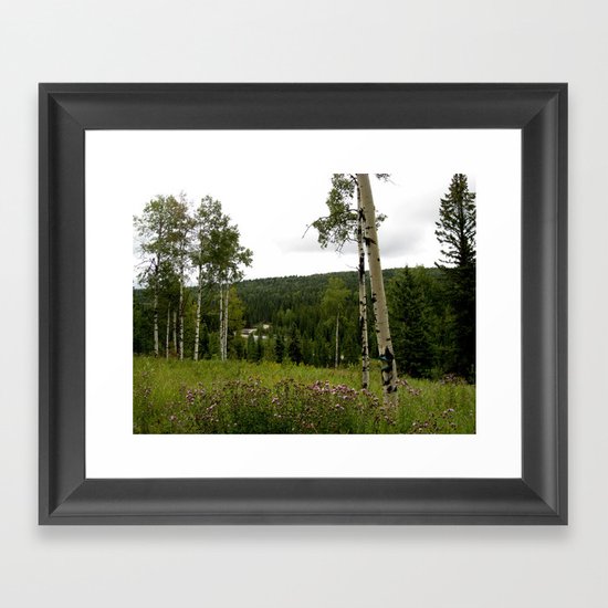 Spring in WaterValley Framed Art Print