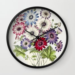 Colorful Chrysanthemums Wall Clock