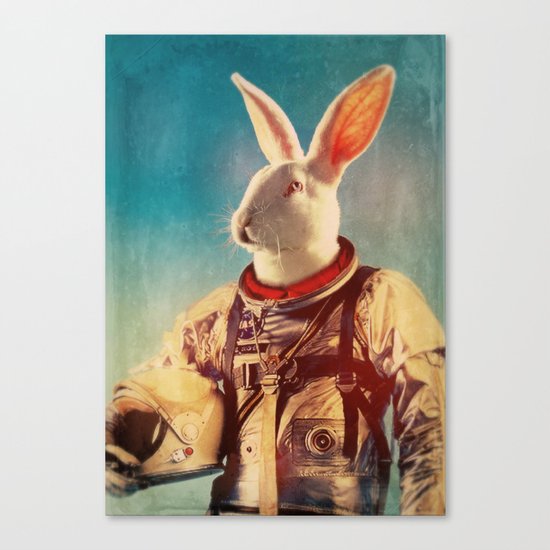 Through The Looking Glass Canvas Print