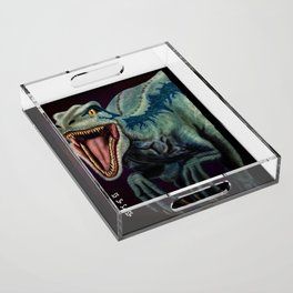 Raptor - Black Acrylic Tray