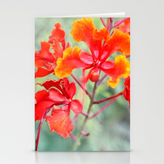 Flowers Stationery Cards