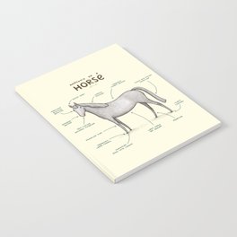 Anatomy of a Horse Notebook