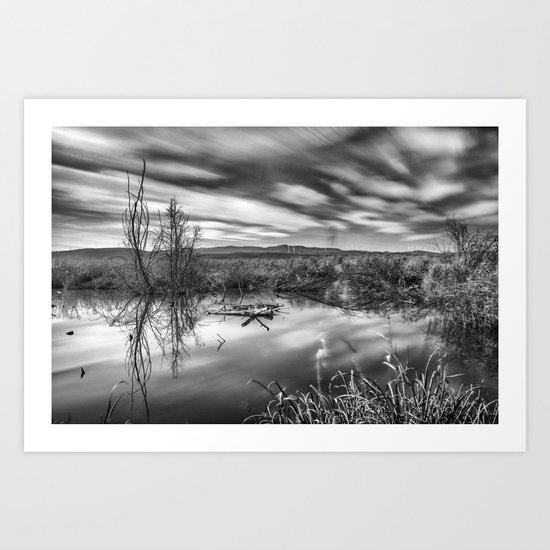 "Mammoth Paradise II" Bw Art Print
