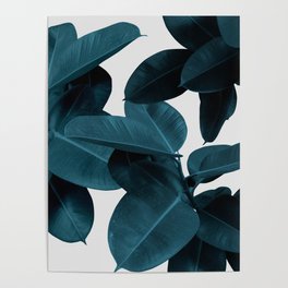 Indigo Blue Plant Leaves Poster