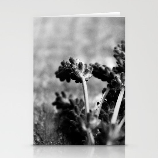 Lavender (Black & White) Stationery Cards