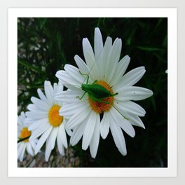 flower Art Print | Animal, Nature, Photo, Digital 