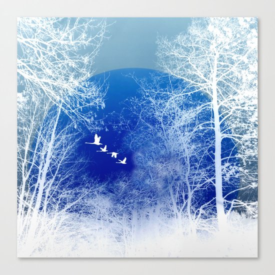 winter day Canvas Print