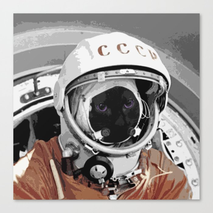 Pixel in space Canvas Print