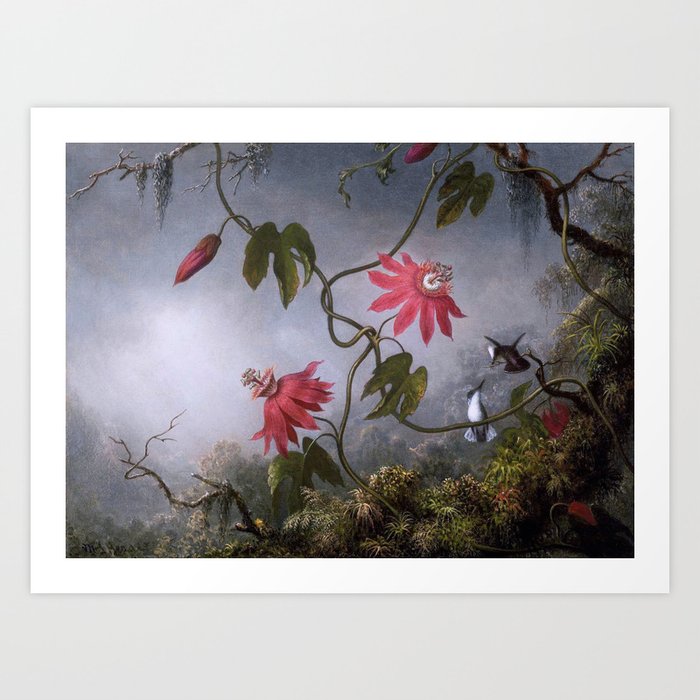 Passion Flowers with Hummingbirds Art Print