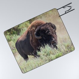 Buffalo Wildlife Photography Yellowstone National Park Wyoming Print Picnic Blanket