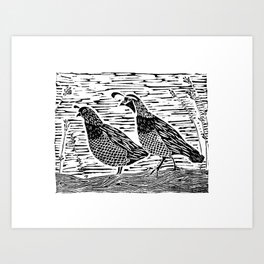 Pair of Quail Art Print