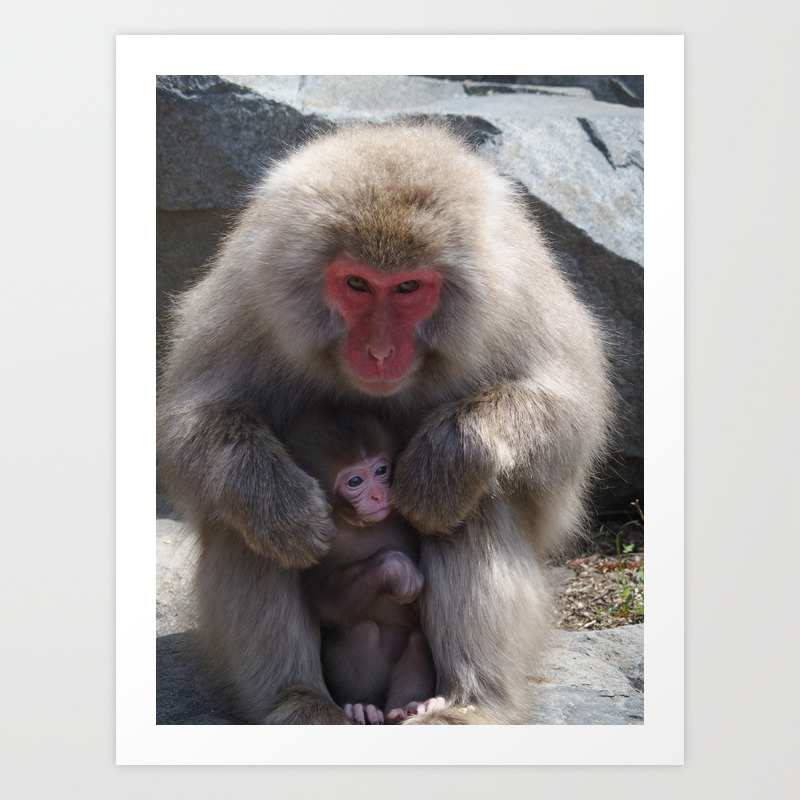 Mom And Baby Monkeys Art Print By Frenchvagabond Society6