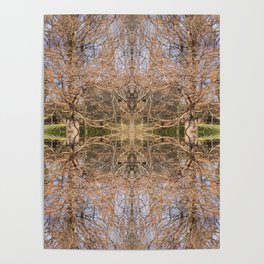 Fall into Winter: Swamp Cypress Filigree Poster