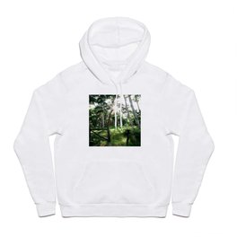 Sunshine through the trees Hoody | Shadows, Trees, Tree, Sunflare, Photo, Woods, Earthy, Forest, Summer, Sun 