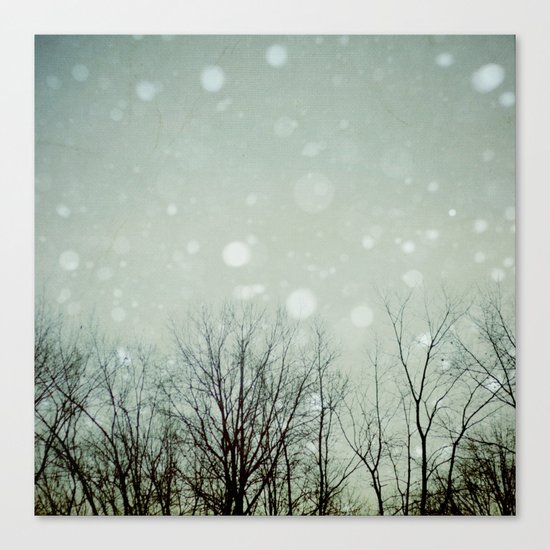 Visions Canvas Print