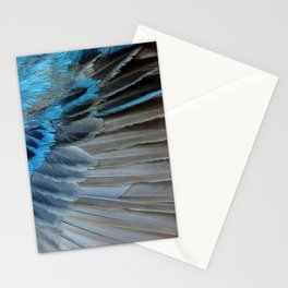 Indigo Bunting Feather Stationery Cards