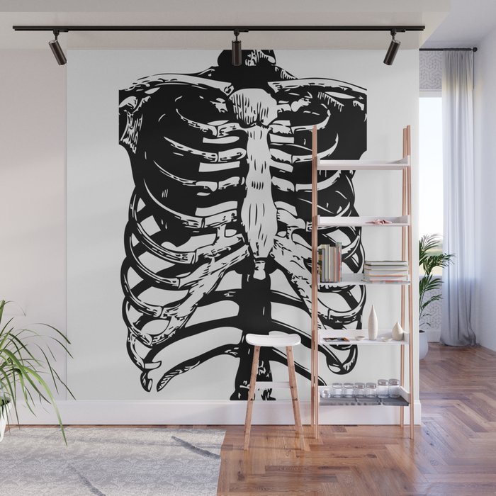 Skeleton Rib Human Anatomy High School Wall Murals