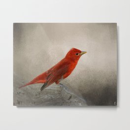 Song of the Summer Tanager 2 - Birds Metal Print | Photo, Animal, Nature 