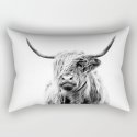Portrait Of A Highland Cow Art Print By Dorit Fuhg Society6