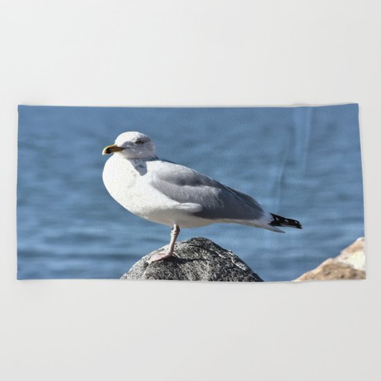 Seagull Beach Towel