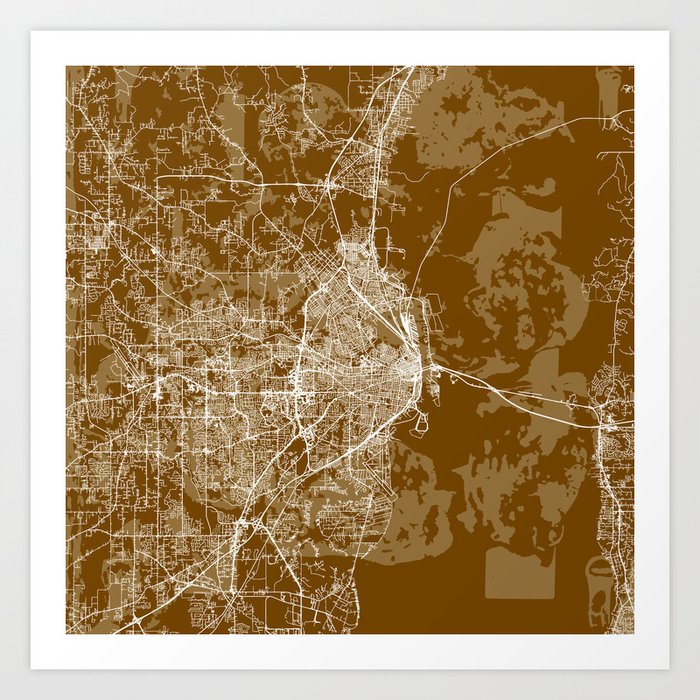 USA, Mobile City Map Art Print
