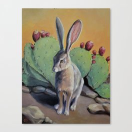 Jack Rabbit Canvas Print