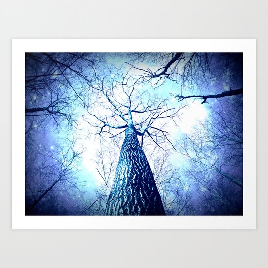 Winter's Coming : Wintry Trees Galaxy Skies Art Print