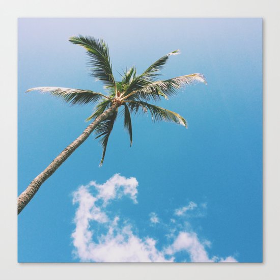 Clouds and Palms Canvas Print