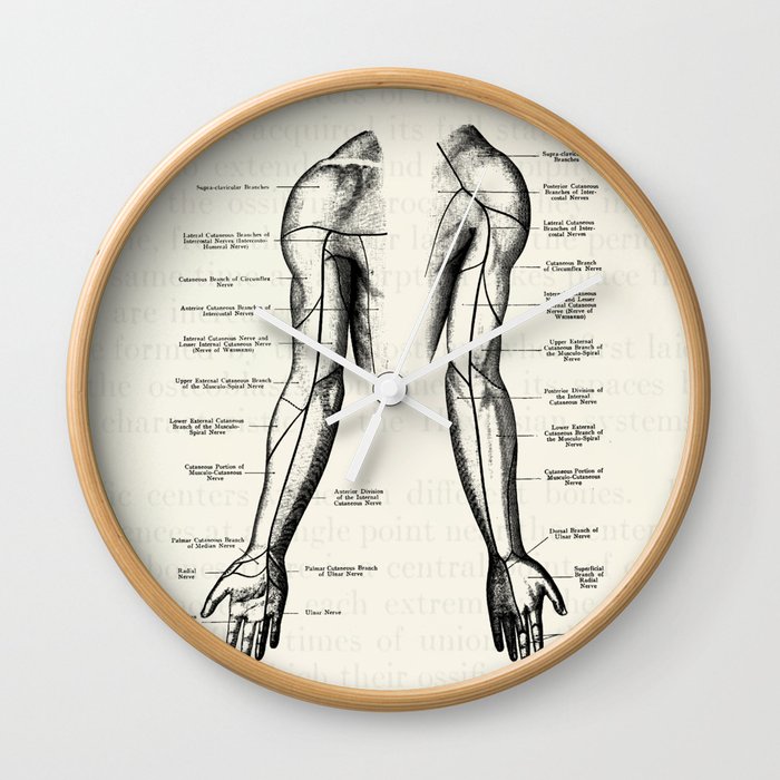 Vintage Anatomy Nerves of the Arms Wall Clock