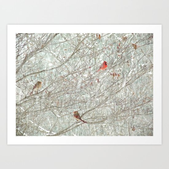 Cardinal Trio in the Snow Art Print