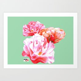 Watercolor rambling roses Art Print