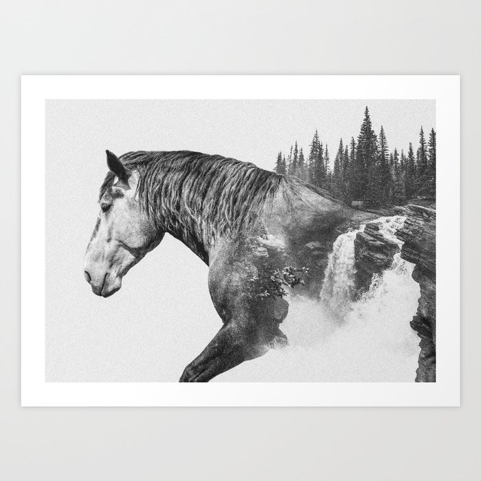 Horse Abstract Photography Art Black And White Animal