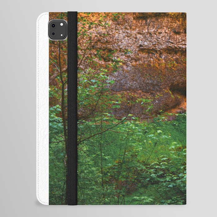 Colorful Waterfall in Oregon iPad Folio Case