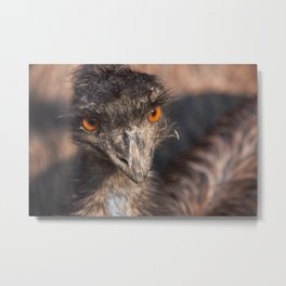 Emu close-up Metal Print
