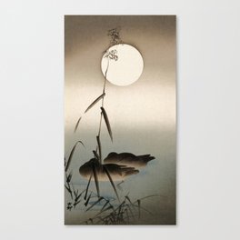 Two Mallards in Water Between Reeds and a Full Moon by Ohara Koson Canvas Print