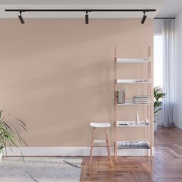 From The Crayon Box – Desert Sand Light Pastel Peach Solid Color Wall Mural