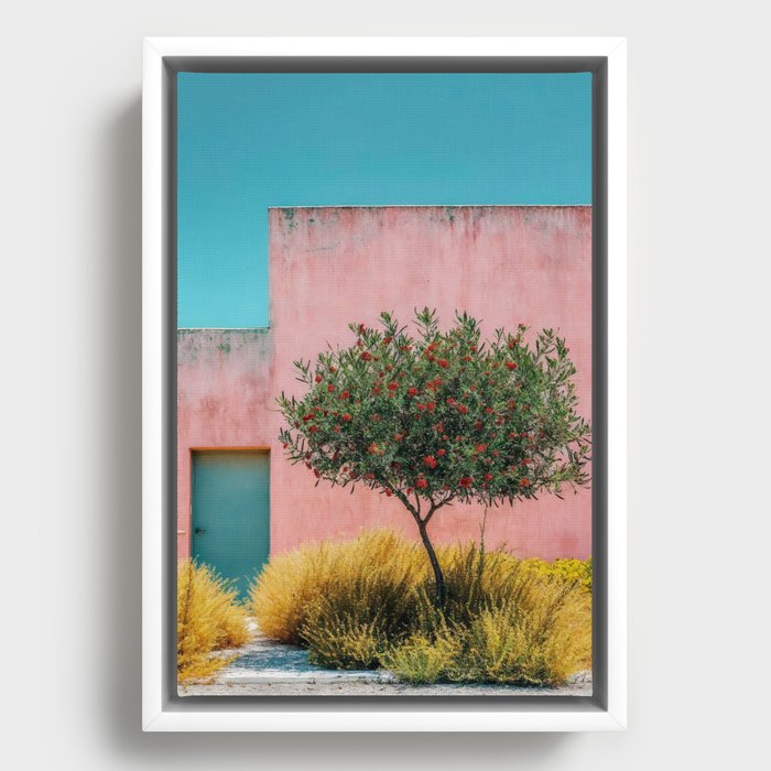 Framed Canvas