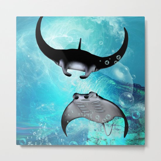 Manta Rays Metal Print