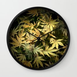 Yellow Cannabis Family Wall Clock