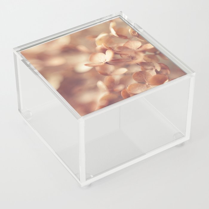 Soft Peach Acrylic Box