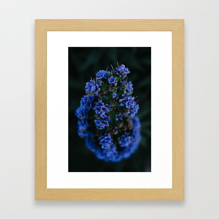 Spring Blues Framed Art Print
