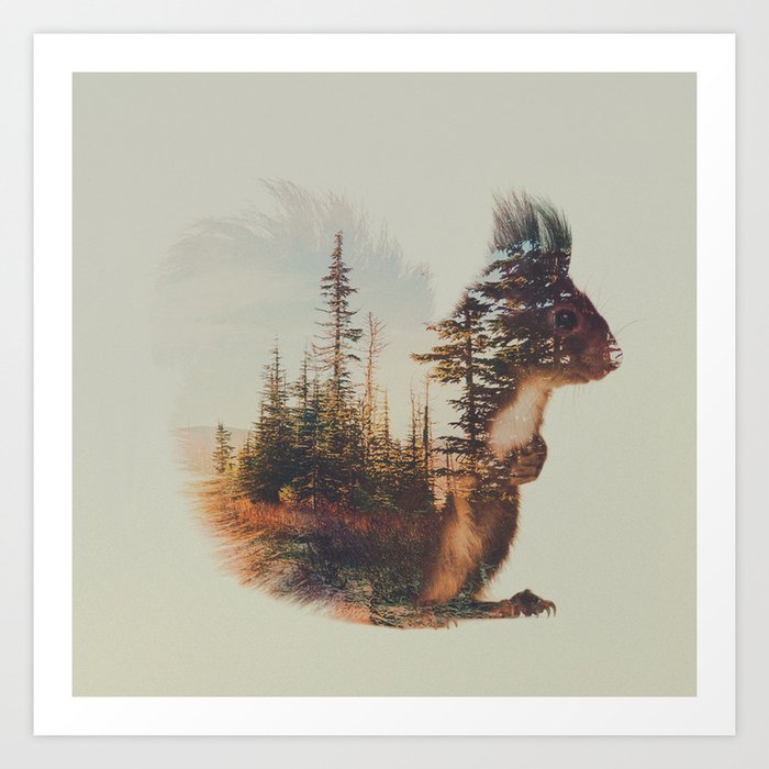 Norwegian Woods: The Squirrel Art Print