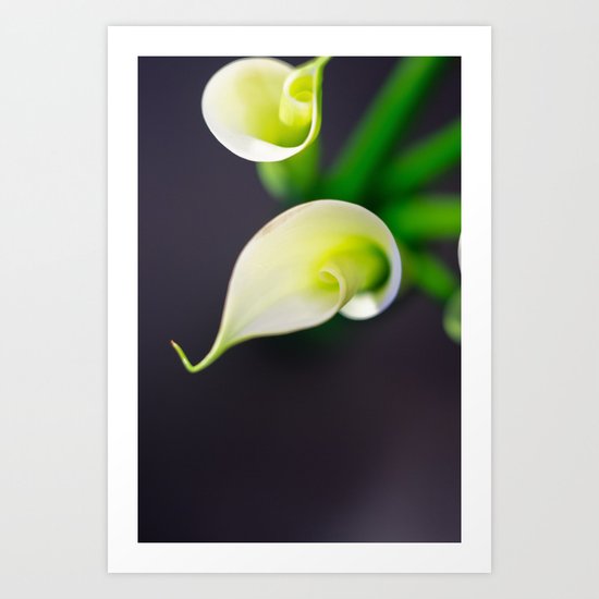 Lily Calla - two kids Art Print