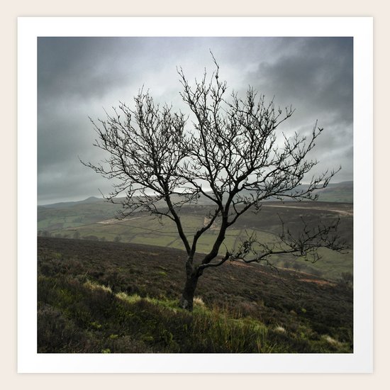 Remote Art Print